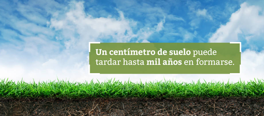 buscar-agua-subterranea-dia-mundial-suelo