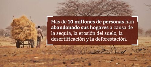 buscar-agua-subterranea-dia-mundial-suelo